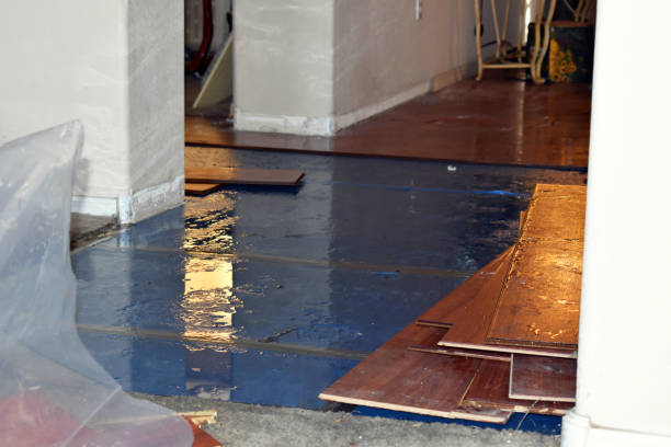 Professional Basement Flood Cleanup technician working in Bagdad, FL